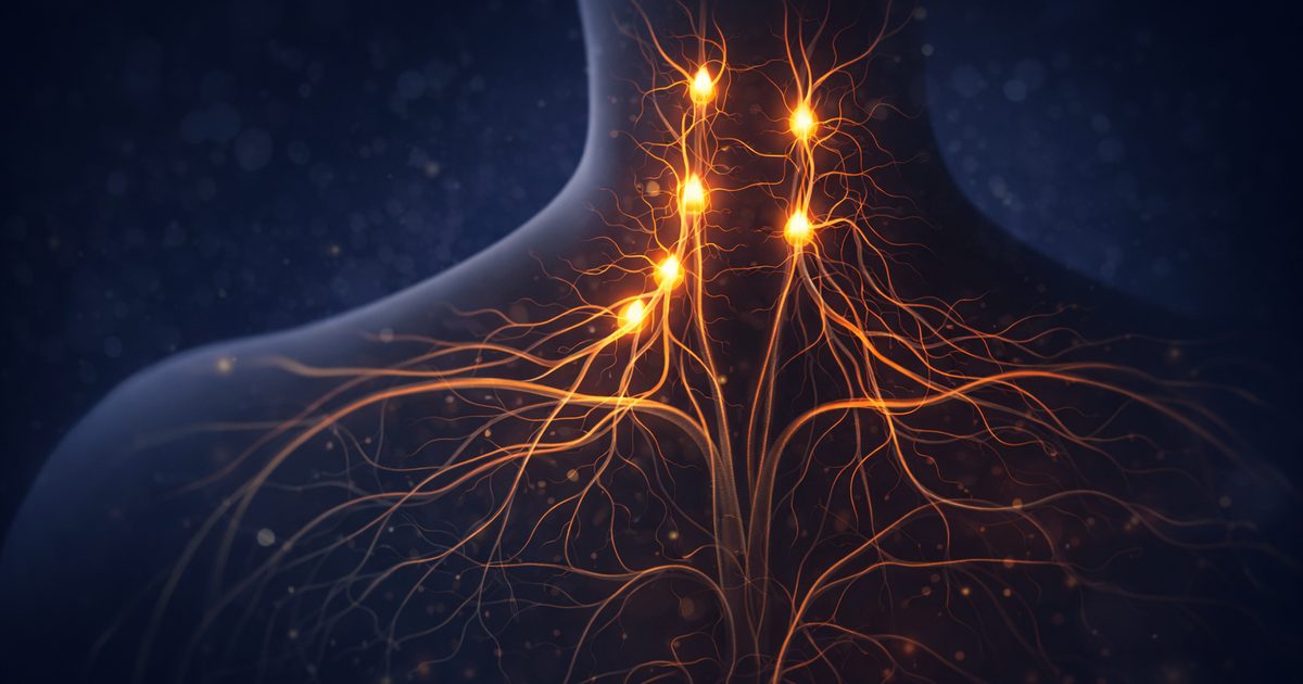 Infographie du bloc du ganglion stellaire : anatomie C6-C7, technique d'injection échoguidée et indications dans le Covid long