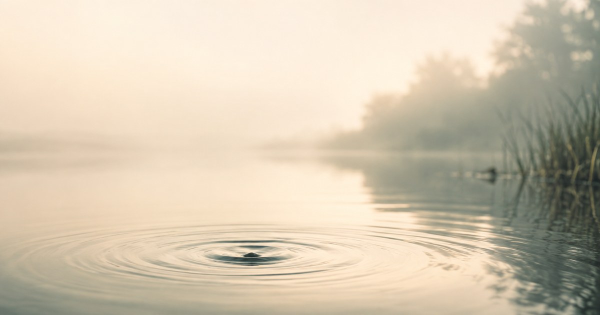 Ronds concentriques à la surface d'une eau calme au lever du jour, une trace qui persiste après que l'événement qui l'a créée est passé