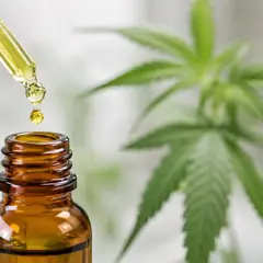 Huile de CBD : Covid long, EM/SFC et fibromyalgie