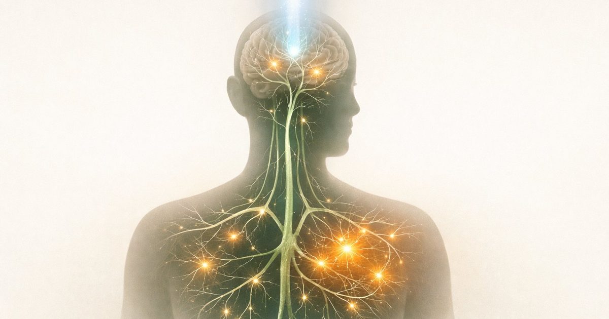 Illustration d'un système nerveux autonome fragilisé face à un stress immunitaire