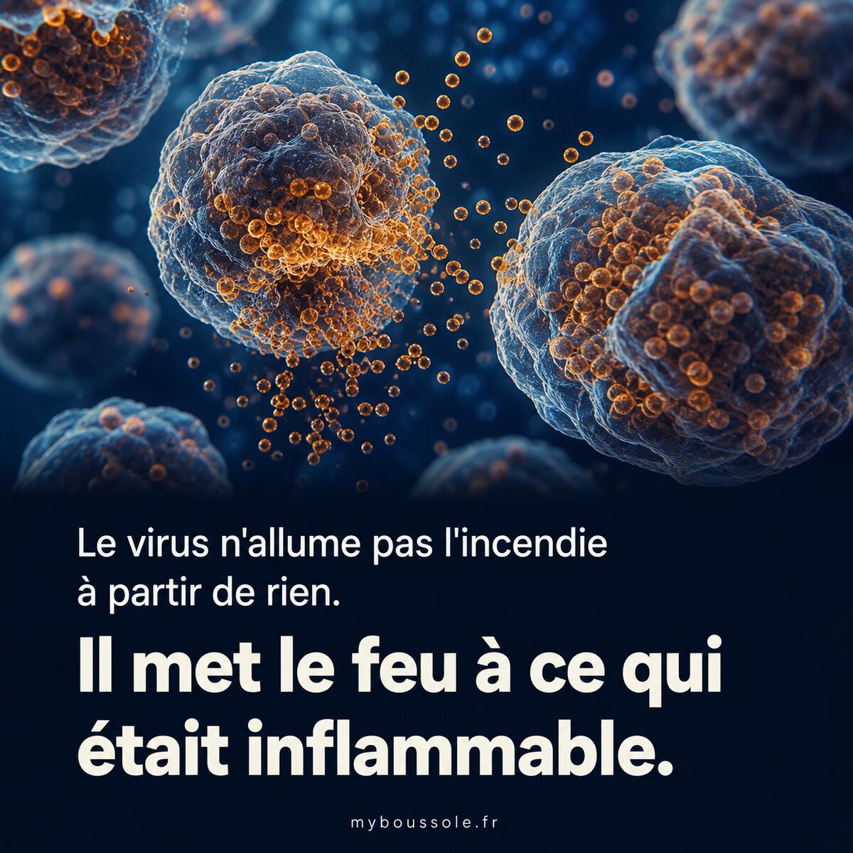 Mastocytes en dégranulation — mécanisme central du profil prédisposant au Covid long