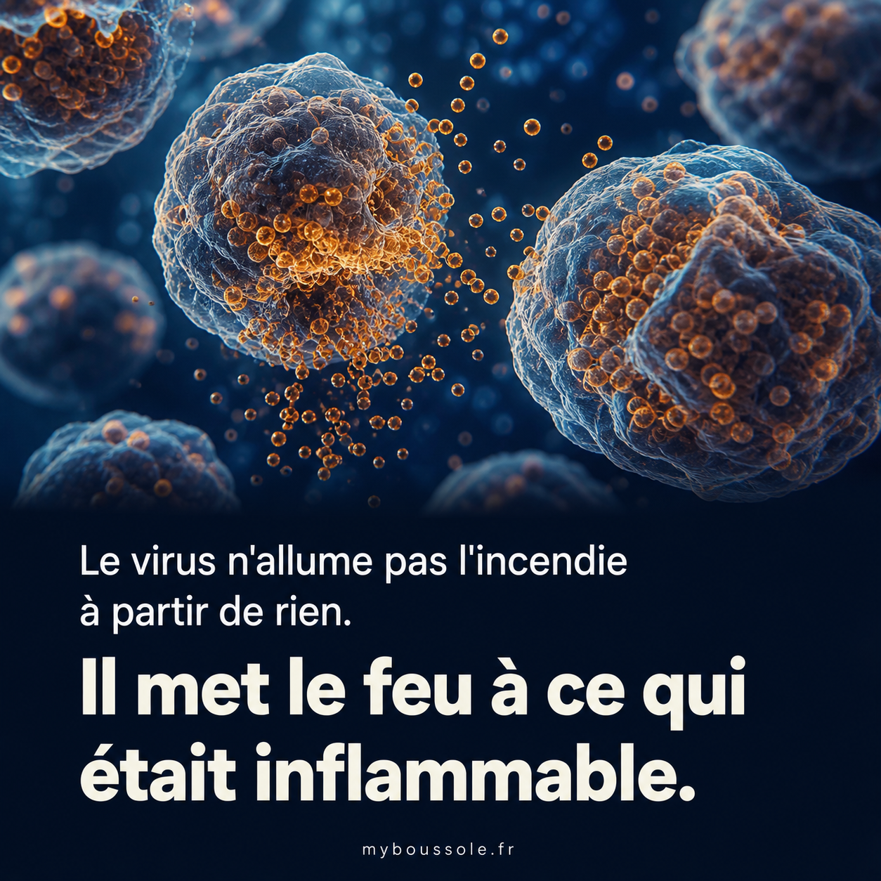 Mastocytes en dégranulation — mécanisme central du profil prédisposant au Covid long