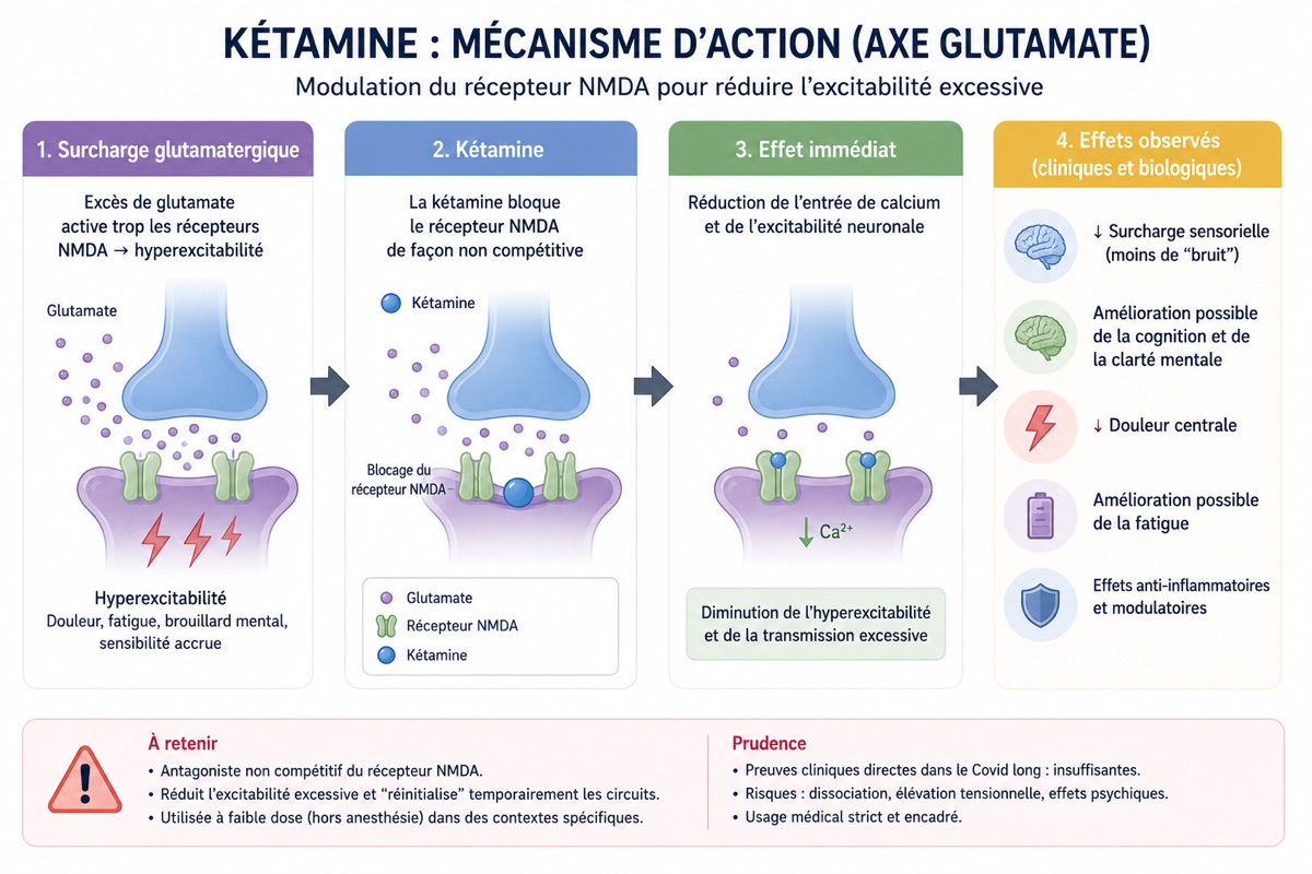Schéma du mécanisme d'action de la kétamine sur l'axe glutamate : blocage non compétitif du récepteur NMDA, réduction de l'entrée calcique et de l'hyperexcitabilité neuronale