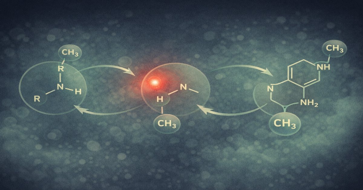 Deux flacons identiques représentant le même complément aux effets opposés selon le terrain biochimique