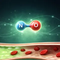 Oxyde nitrique et Covid long : dysfonction endothéliale