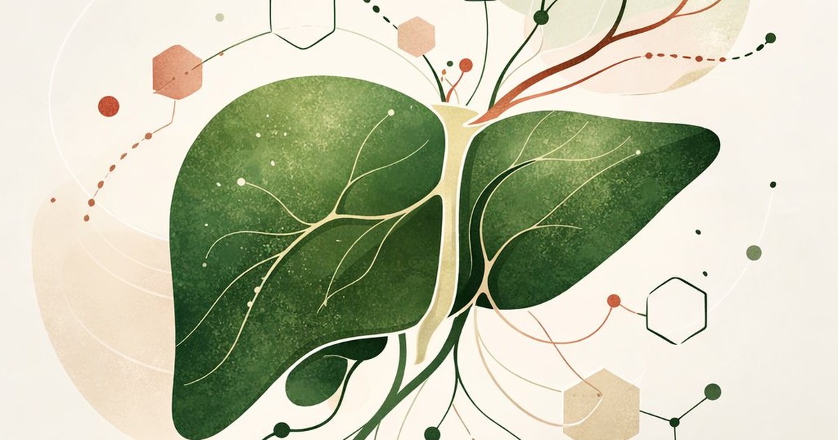 Illustration schématique du métabolisme hépatique et des enzymes CYP450