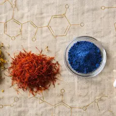 Antidépresseur vs substance naturelle : les données