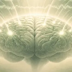 rTMS et Covid long : ce que dit la science