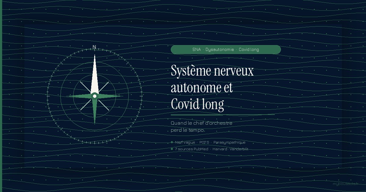 Rose des vents sur fond navy — système nerveux autonome et Covid long