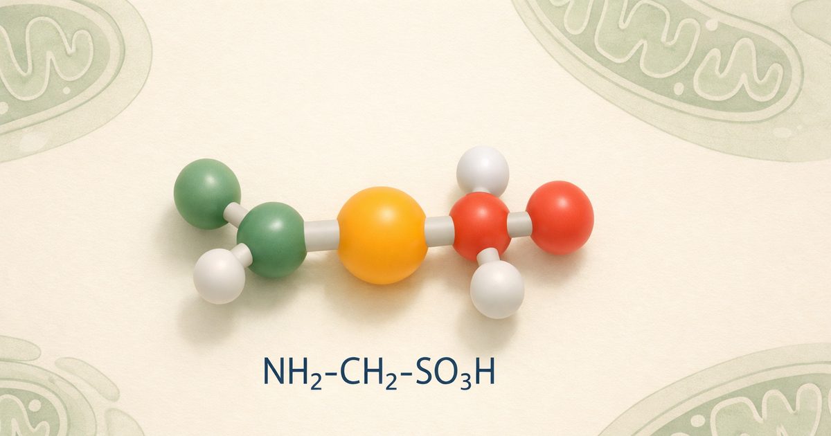 Taurine et Covid long : pourquoi votre corps en manque et ce que dit la recherche