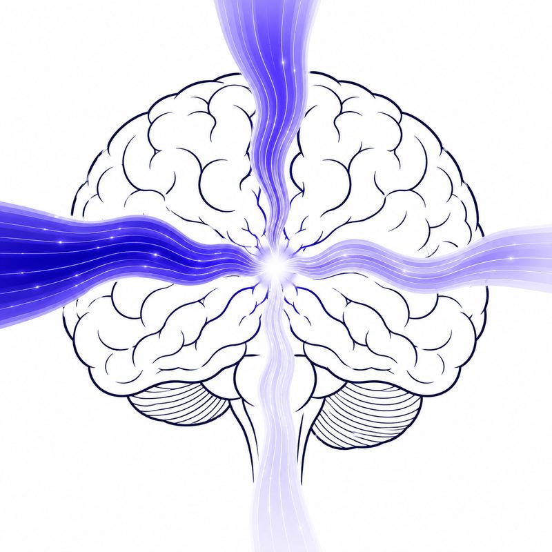 Schéma de quatre messagers chimiques du cerveau formant une cascade d'éveil