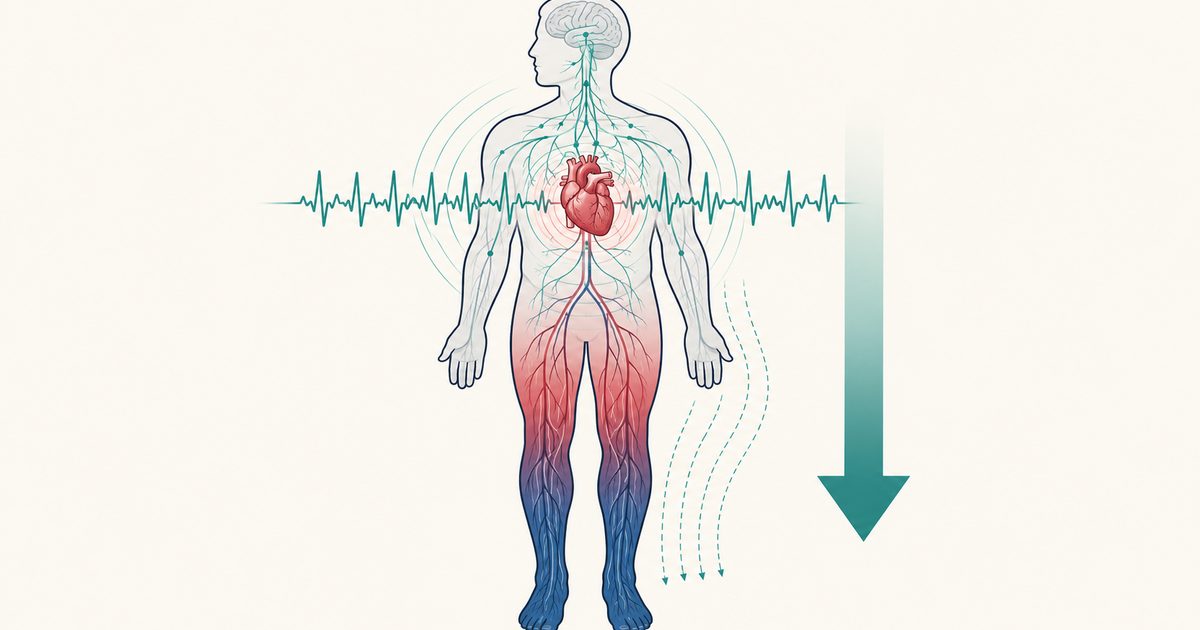 Illustration du système nerveux autonome et des mécanismes du POTS