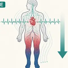 POTS : pourquoi debout épuise le coeur et le corps