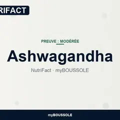 Ashwagandha : HPA, stress et anxiété – NutriFact myBoussole
