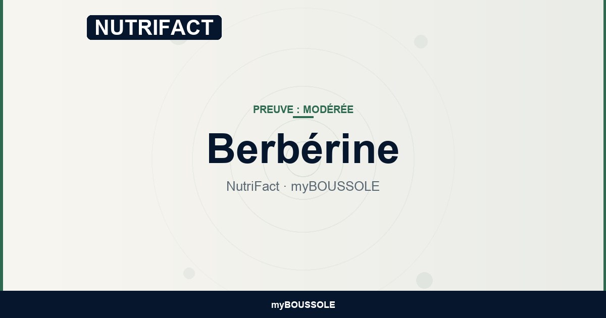 Berbérine : AMPK, lipides, microbiote — NutriFact myBoussole