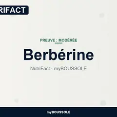 Berbérine : AMPK, lipides, microbiote – NutriFact myBoussole