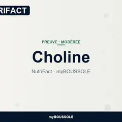 Choline : foie, grossesse et méthylation – NutriFact myBoussole