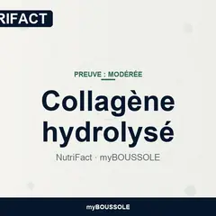 Collagène : peau, os et cicatrisation – NutriFact myBoussole