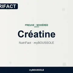 Créatine : énergie cellulaire, cognition et fatigue chronique – NutriFact myBoussole