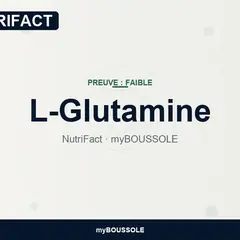 L-glutamine : intestin, immunité – NutriFact myBoussole