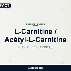 L-Carnitine : mitochondries et SFC-EM – NutriFact myBoussole