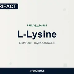 L-lysine : collagène, herpès simplex – NutriFact myBoussole