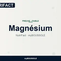 Magnésium – NutriFact myBoussole