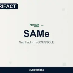 SAMe : méthylation et prudence – NutriFact myBoussole