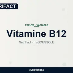 Vitamine B12 : carence, diagnostic et traitement – NutriFact