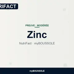 Zinc : carence et supplémentation – NutriFact myBoussole